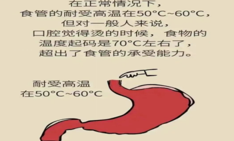 1700787526247.png