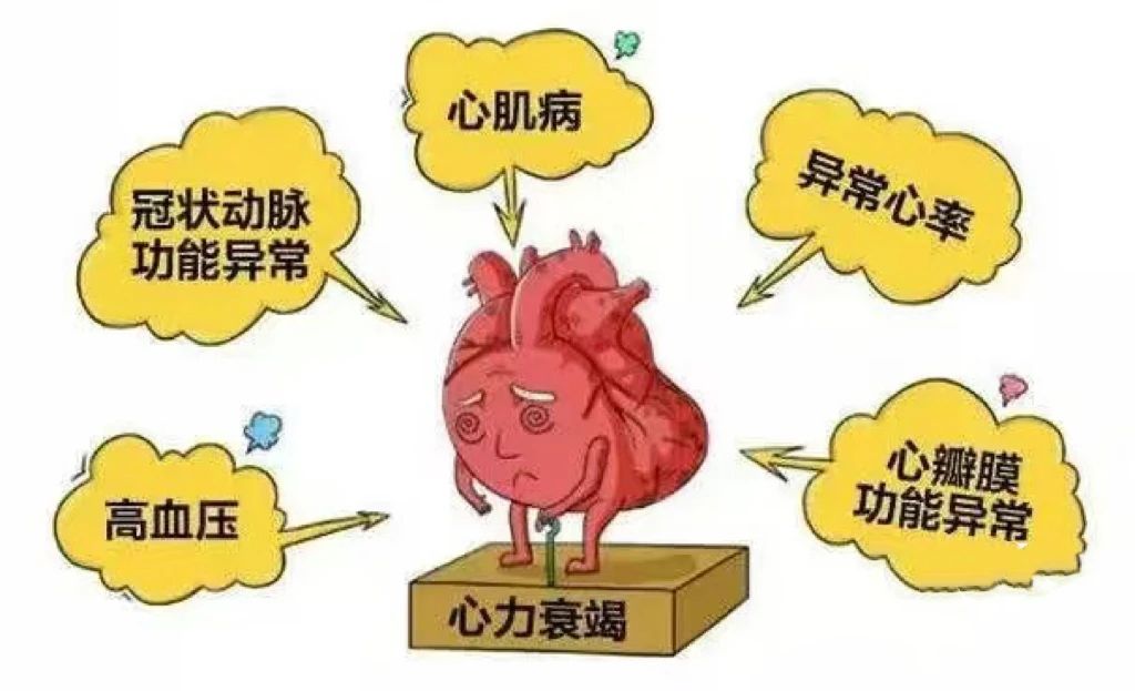 微信图片_20240118153352.jpg